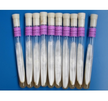 天麻萌發(fā)菌母種、原種、栽培種