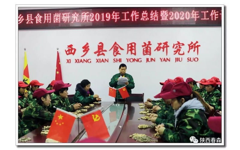 2019春森菌業(yè)年產(chǎn)菌種超過(guò)300萬(wàn)袋（瓶），擴(kuò)建近40畝，經(jīng)營(yíng)再創(chuàng)歷史新高