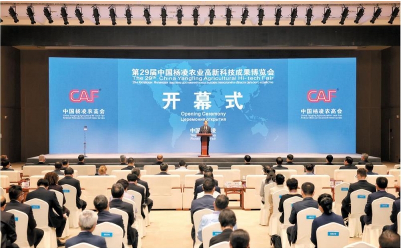 《漢中市科學技術局網(wǎng)站》：漢中喜獲第29屆農(nóng)高會“后稷特別獎”和“后稷獎”18項