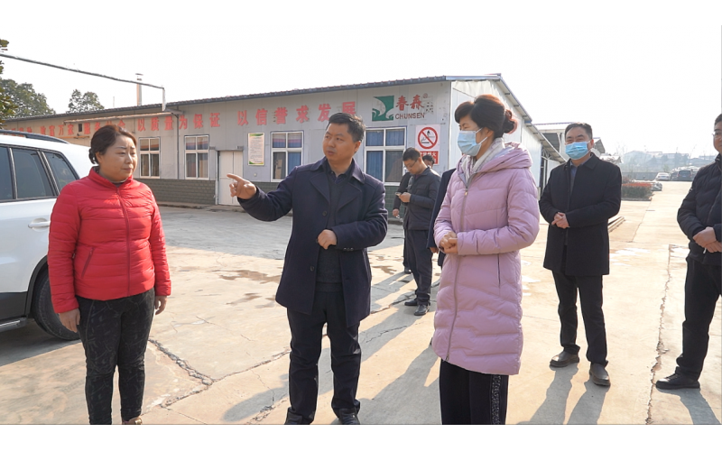 西鄉(xiāng)縣委副書(shū)記、縣長(zhǎng)王亞珍調(diào)研農(nóng)業(yè)產(chǎn)業(yè)發(fā)展工作